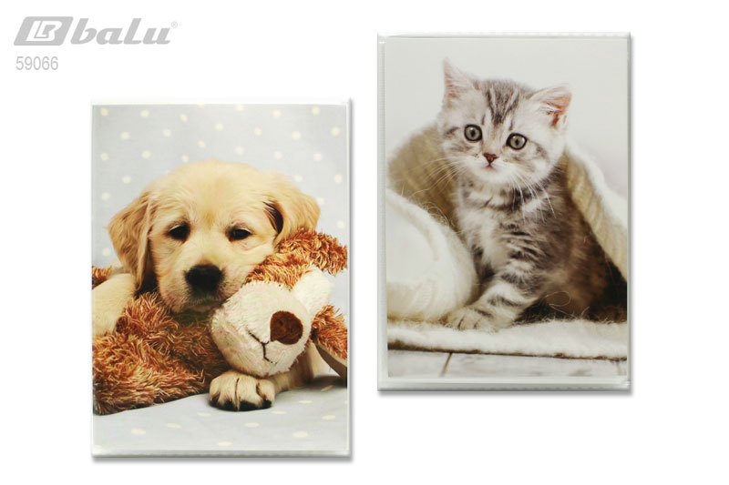      10*15 ,   36,  ,  . `Dog and cat`